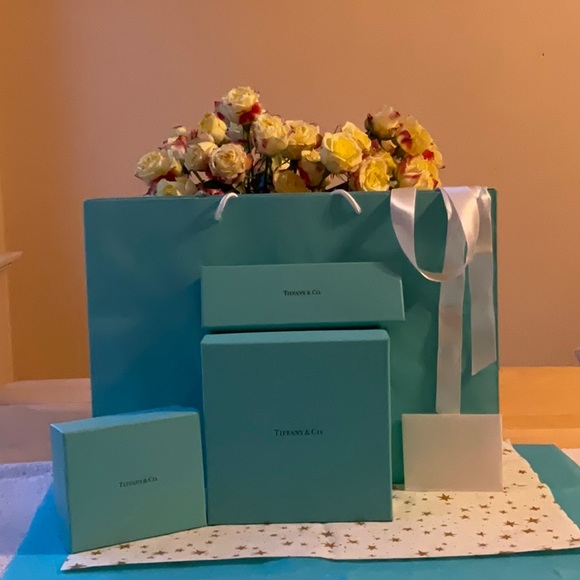 🎀 TIFFANY & CO. BAG & BOXES 🎀 - Picture 3 of 16